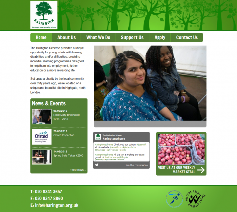 Harington Website Design